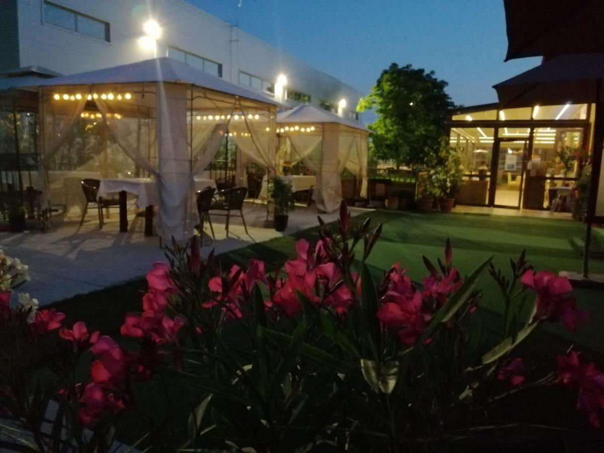 Sultan Mehmet Pensiune & Restaurant 布拉索夫 外观 照片