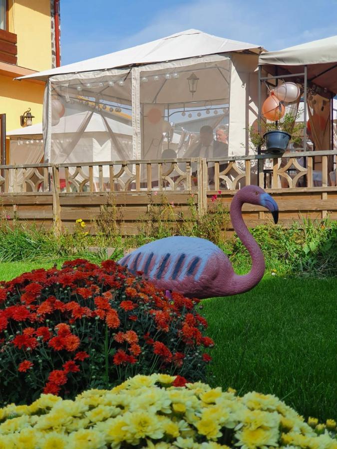 Sultan Mehmet Pensiune & Restaurant 布拉索夫 外观 照片