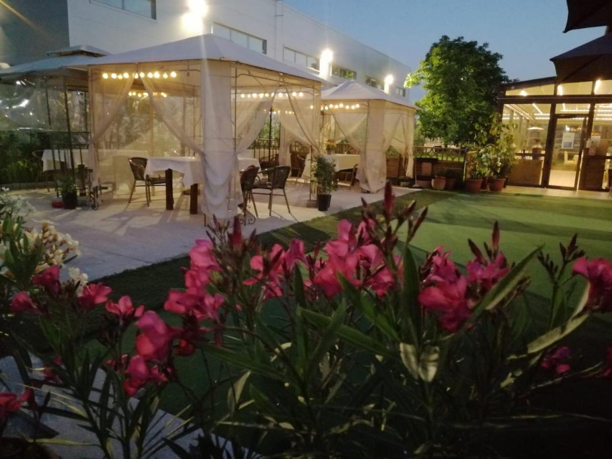 Sultan Mehmet Pensiune & Restaurant 布拉索夫 外观 照片
